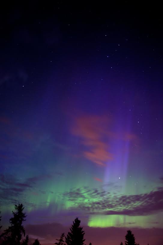 Sam Veich – Photography – McGough and&nbsp;Company