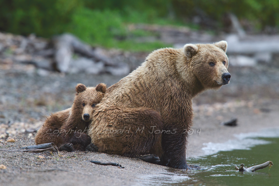 Donald Jones – Photography – McGough and Co in&nbsp;August