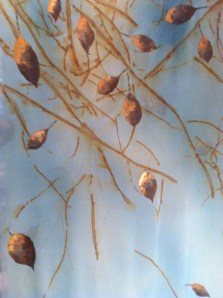 Mixed Media, Louise Barker