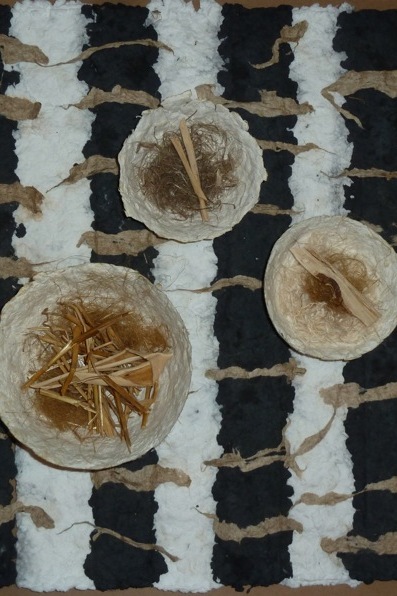 “Paper”-Angie Zimmerman & Students at The Walking Man Frame Shop &&nbsp;Gallery